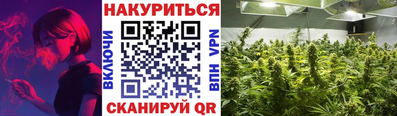 Магазин наркотиков Нелидово Псилоцибиновые грибы  АМФ  Кокаин  Меф  ГАШИШ  Канабис  APVP 
