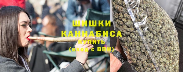 стафф Бронницы